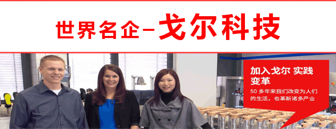 戈尔科技