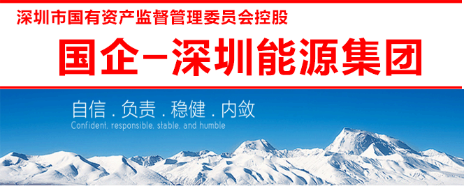 国企-深圳能源集团